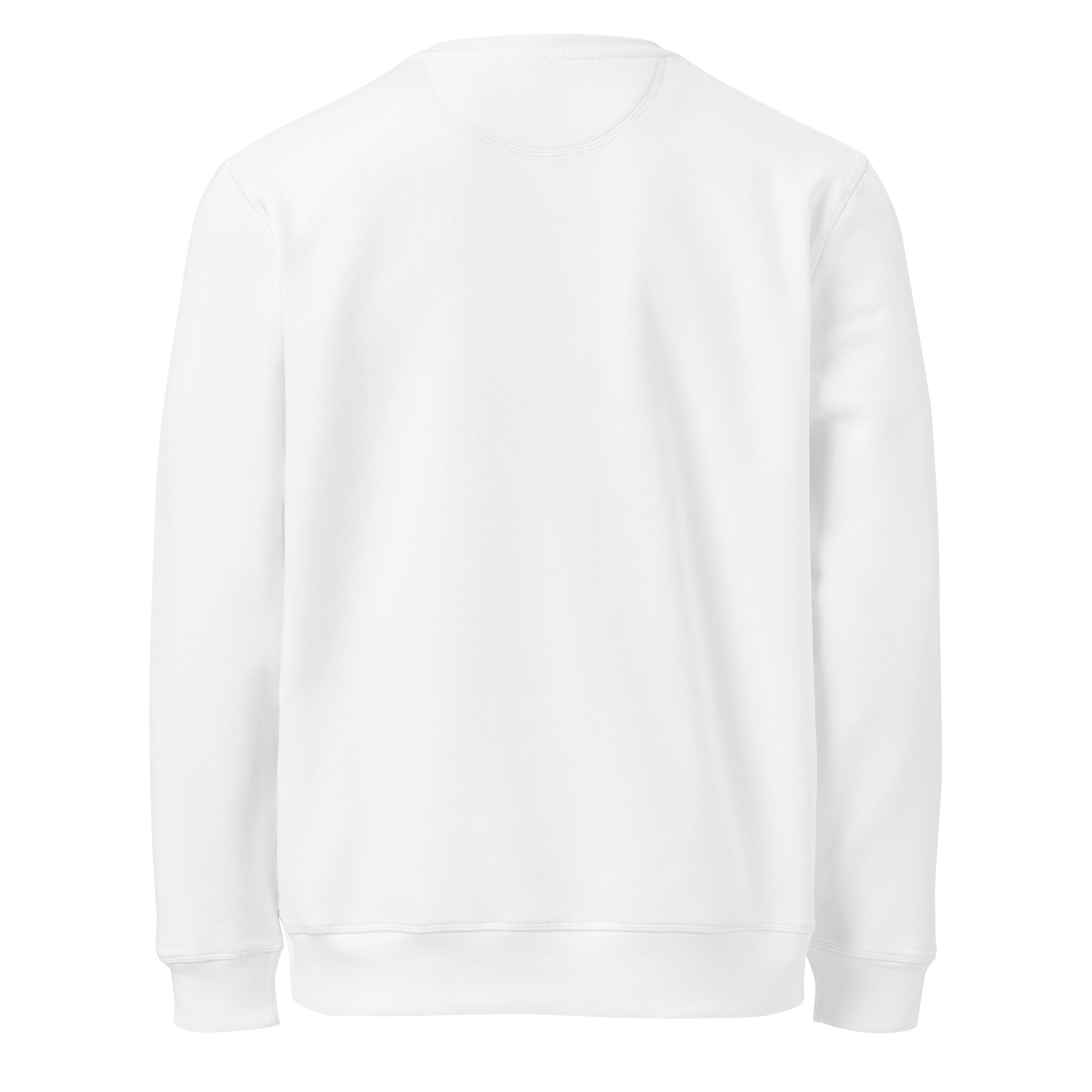 Port Sweatshirt | Custom Powerboat Sweater in White - back (blank)